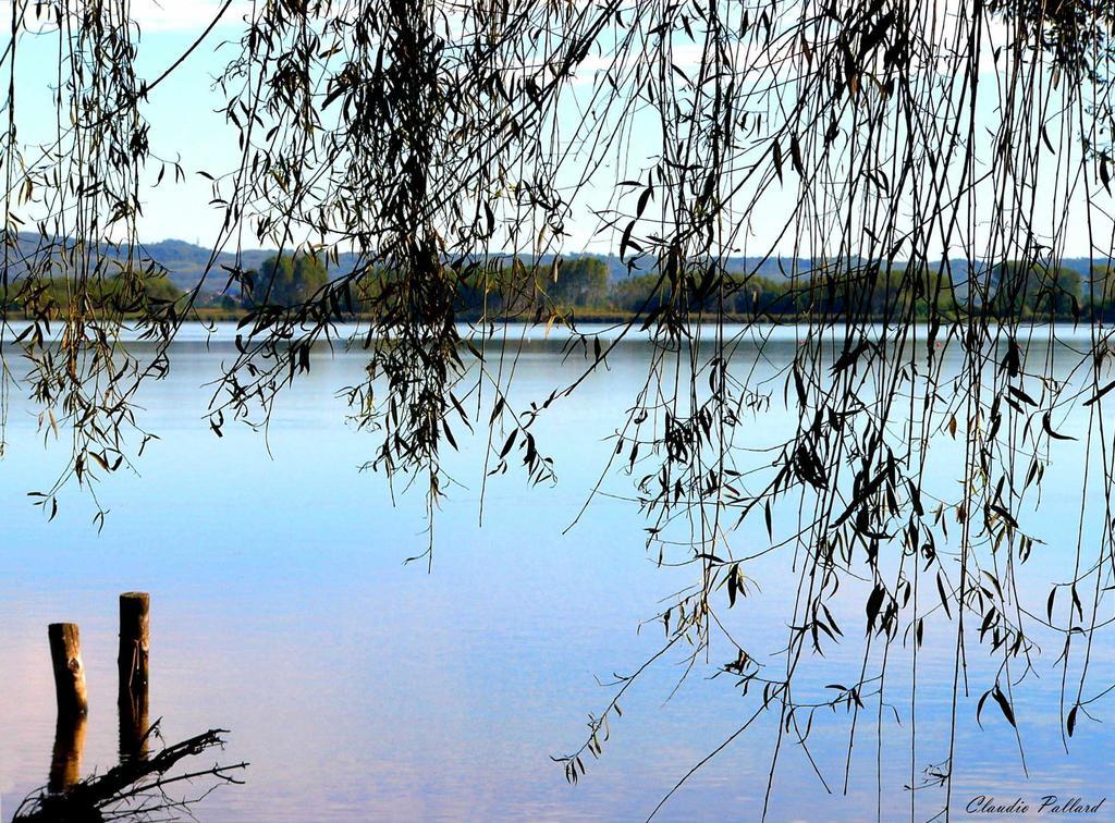 Anthares World Resort Candia Canavese Dış mekan fotoğraf
